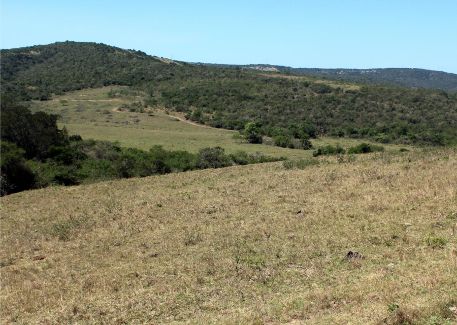 Commercial Property for Sale in Komga Rural Eastern Cape